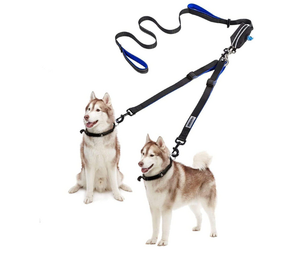 Double Dog Leash