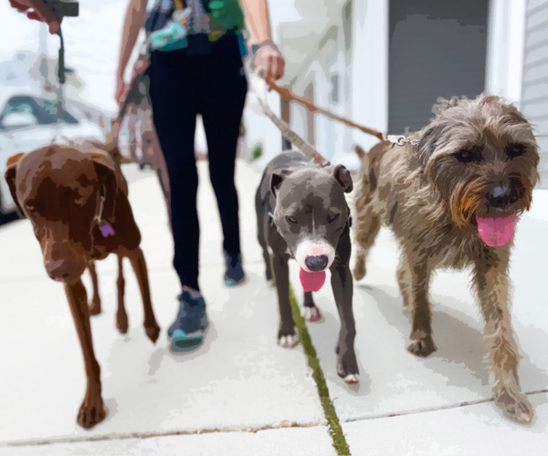 25 Barkin' Awesome Gifts For Dog Walkers That Their Four-Legged Friends Will Love Too