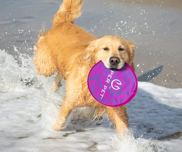 Multicolor Doggie Frisbee