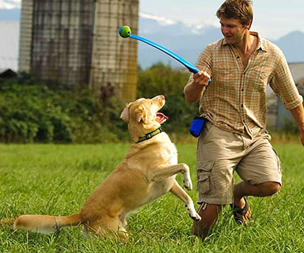 Ultimate Fetch Toy