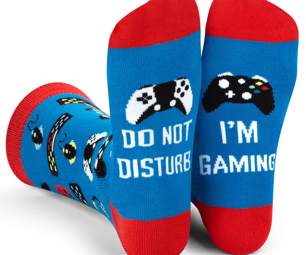 Do Not Disturb, I'm Gaming Socks