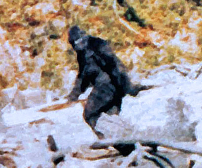 33 Urban-Legendary Bigfoot Gifts That Any Bigfoot Lover Needs Before They Go Squatchin'