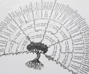 37 Fascinating Genealogy Gifts That Might Add A Few Branches To Your Family Tree