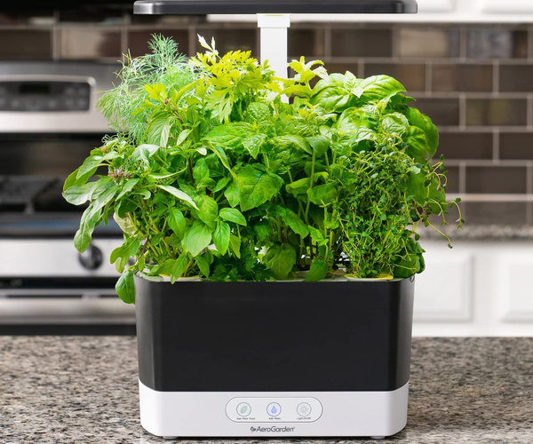 AeroGarden Indoor Herb Garden