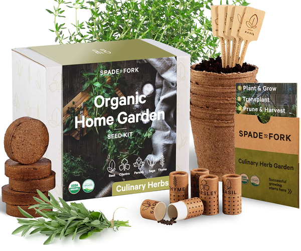 Culinary Herbs Home Garden Starter Set