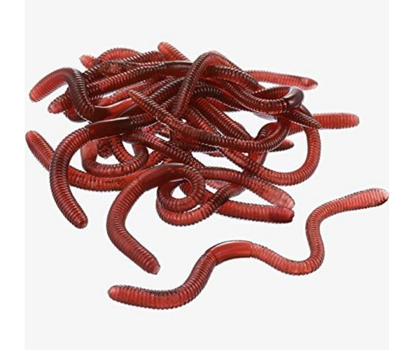 Fake Worms April Fool's Prank