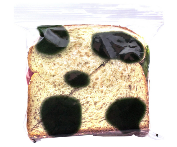 Moldy Sandwich Bag April Fool's Day Prank