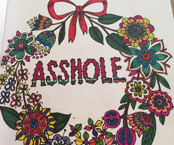 Have a Nice Life A$$hole Adult Coloring Book