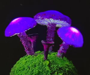 27 Magical Mushroom Gifts That Mushroom Lovers And Fungi Aficionados Will Love