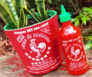 25 Hotter-than-Hot Sriracha Gifts For Anyone Obsessed With Red Rooster Hot Sauce