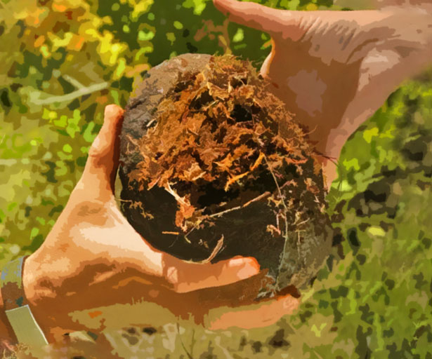 37 Turd-rific Poop Gifts That Aren't As Crappy As They Look