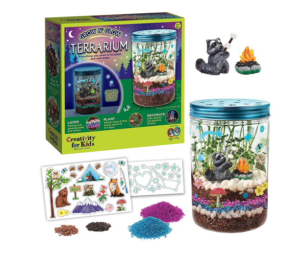 DIY Terrarium Kit