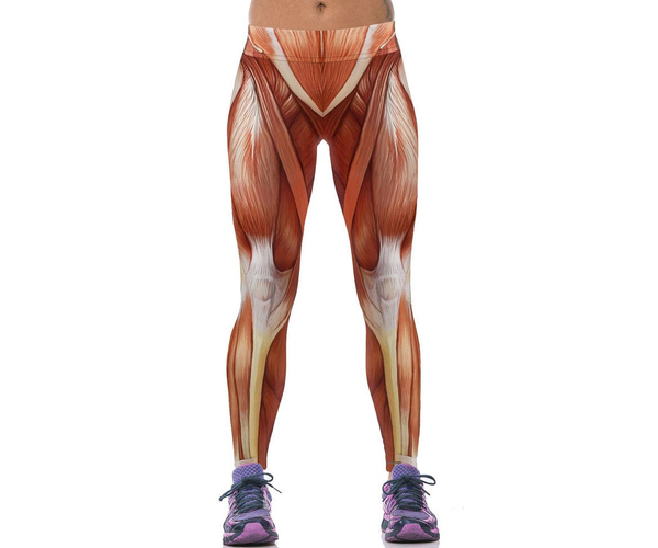 Anatomical Muscle Leggings