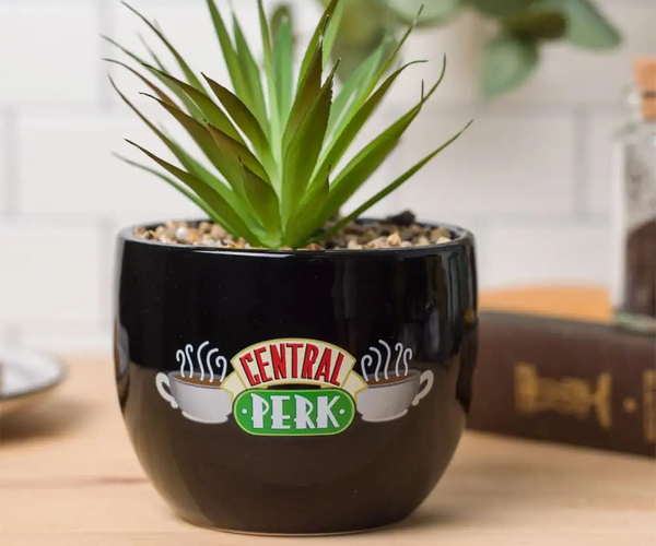 Central Perk Planter