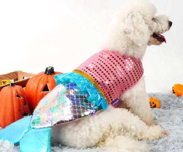 Mermaid Costume