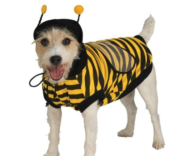 Bumblebee Dog Costume