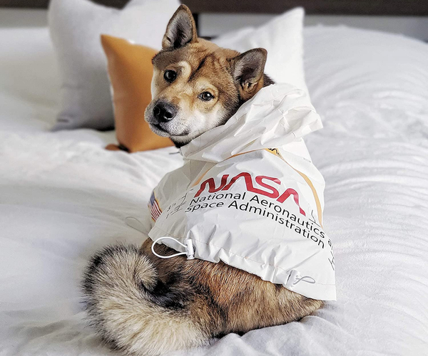 NASA Dog Costume
