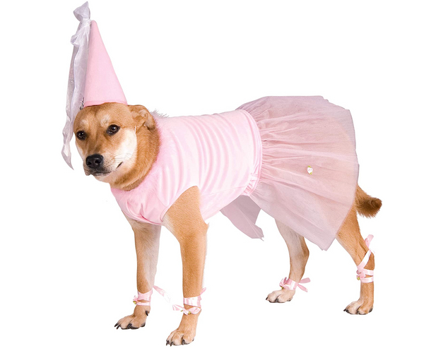 Princess Dog Costume