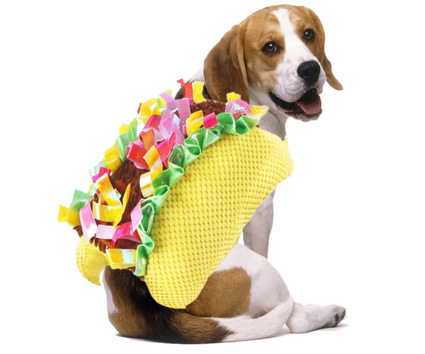 Taco Dog Costume