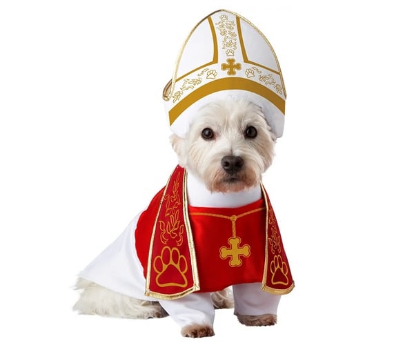 The Pope Dog Costume