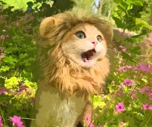 27 Meow-velous Cat Costumes That Your Cat Will Want To Wear Right Meow