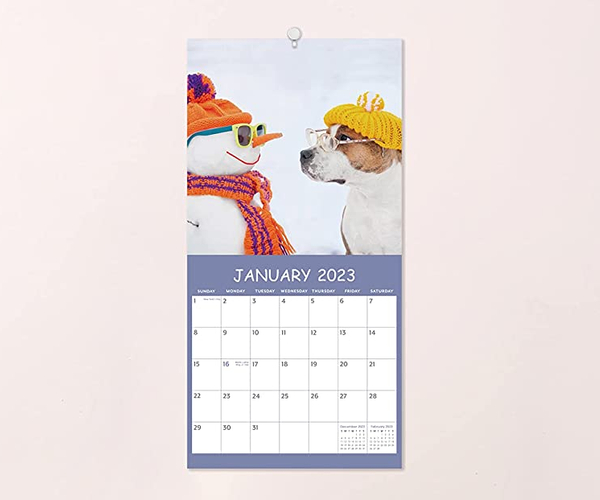 Funny Dog Calendar