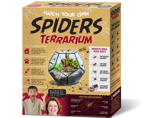 Hatch Your Own Spider Terrarium
