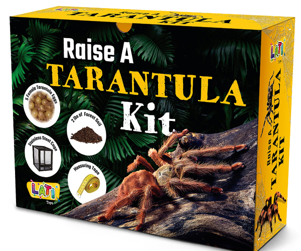 Raise a Tarantula Kit