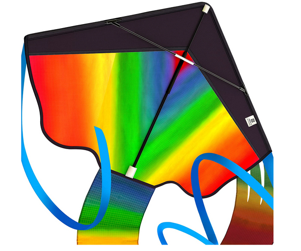 Beginner's Kite for Kids