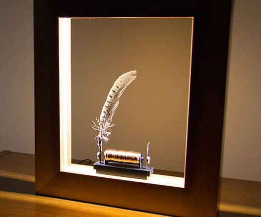 Slow Motion Picture Frame