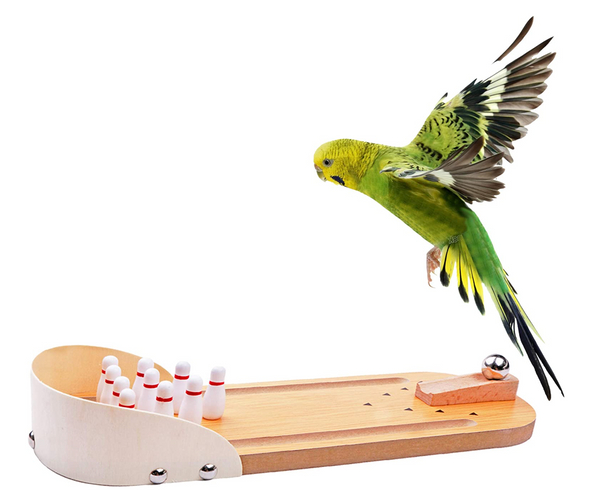 World's Smallest Bowling Alley