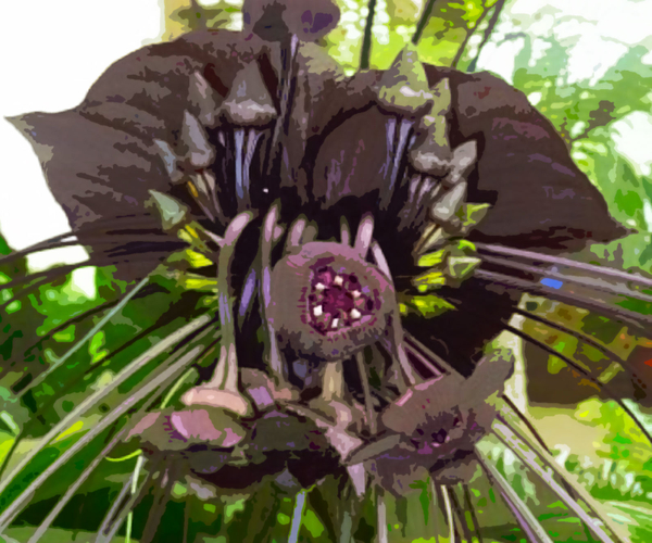 23 Extremely Weird Plants You Can Actually Buy For Your Home