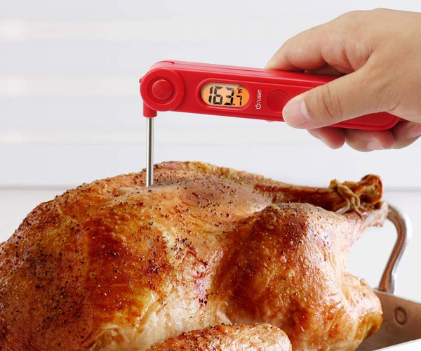 ThermoPro Digital Thermometer
