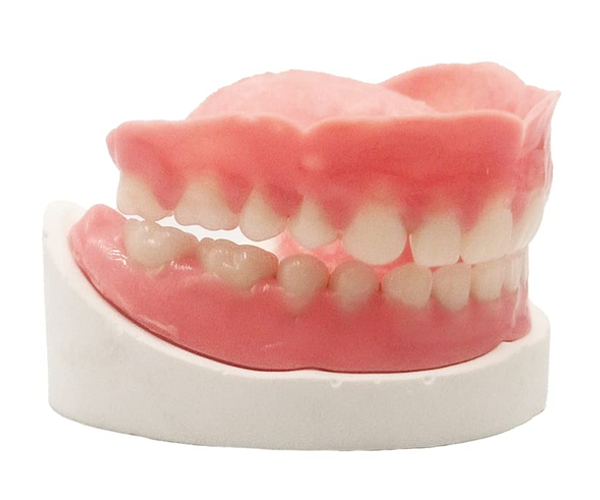 DIY Denture Set