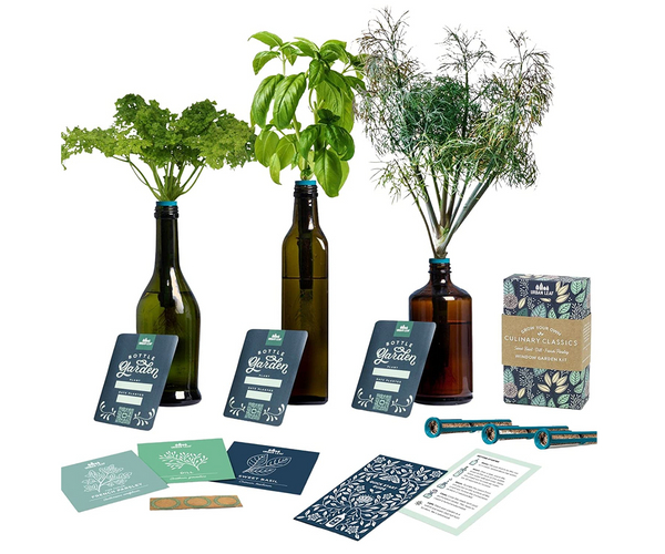 Bottle Stopper Planter Kit