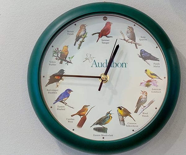 Audubon Singing Bird Wall Clock