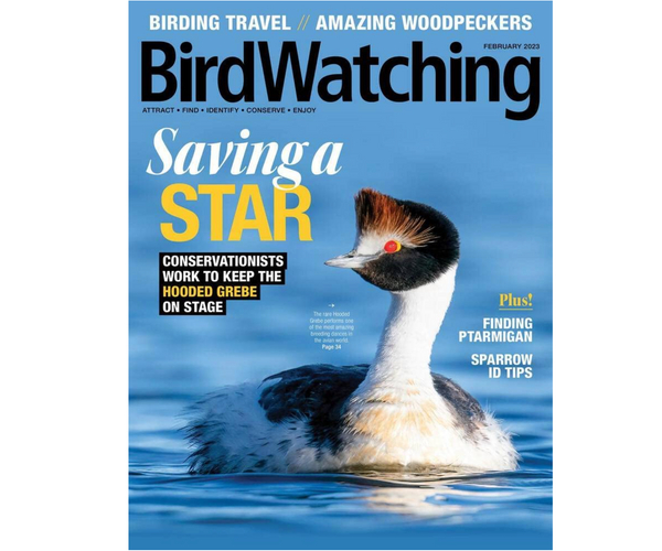 Subscription to Birdwatching Magazine