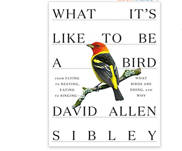 What It's Like to Be a Bird Sibley Guide