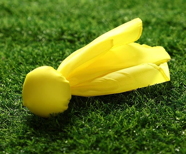 Penalty Flags