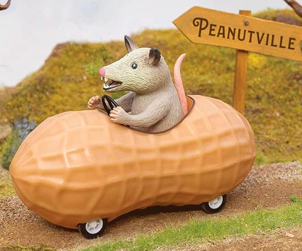 Possum in a Peanut Pullback Car
