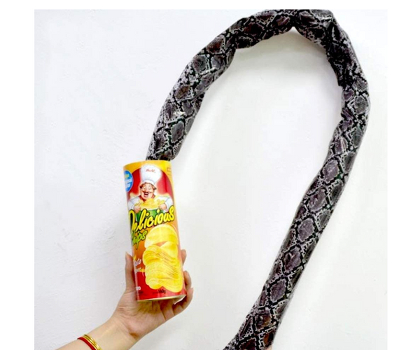 Snake in a Can Prank Toy