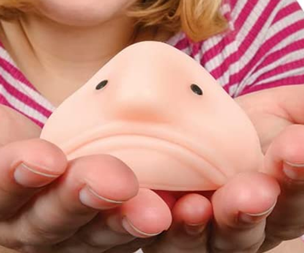 Sunny the Happy Blobfish