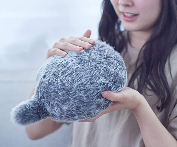The Fuzzy Pet