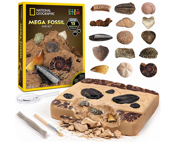 Mega Fossil Dig Kit
