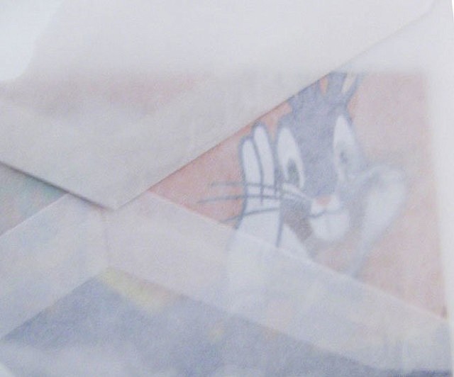 Envelope X-Ray Spray
