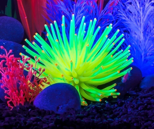 Glowing Anemone Ornament