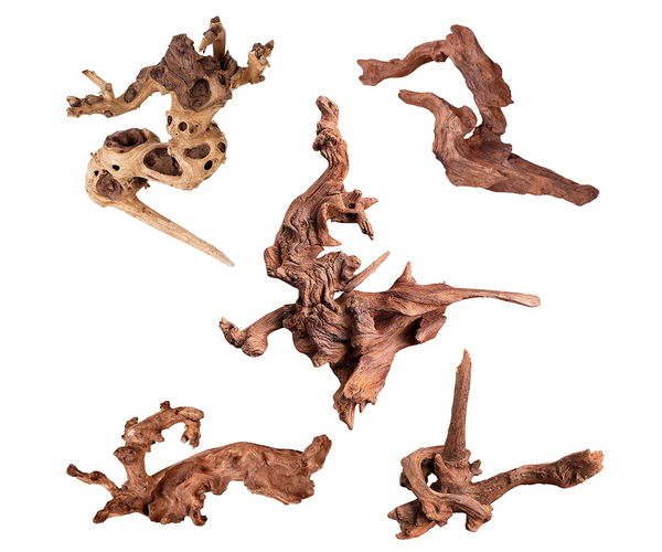 Mini Driftwood Coral Reef