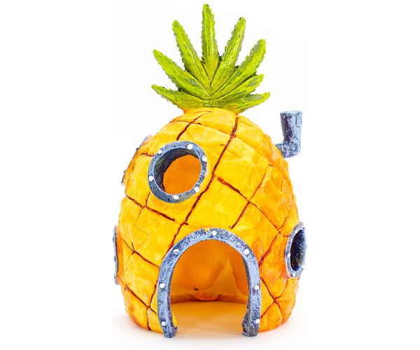 Spongebob's House