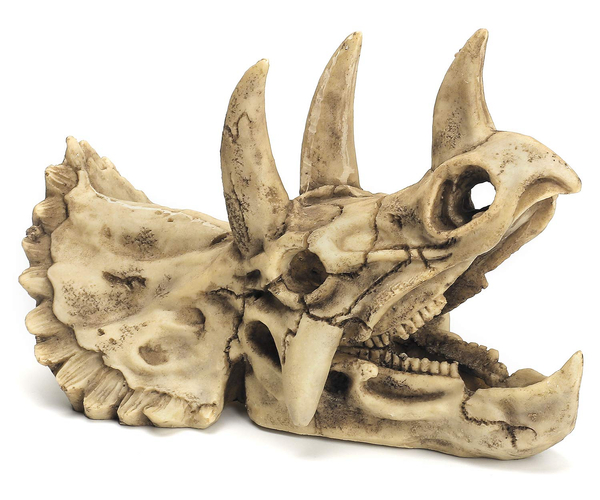 Triceratops Skull Fish Tank Ornament