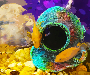 23 Unfathomably Awesome Fish Tank Decorations That The Residents In Your Aquarium Will Love